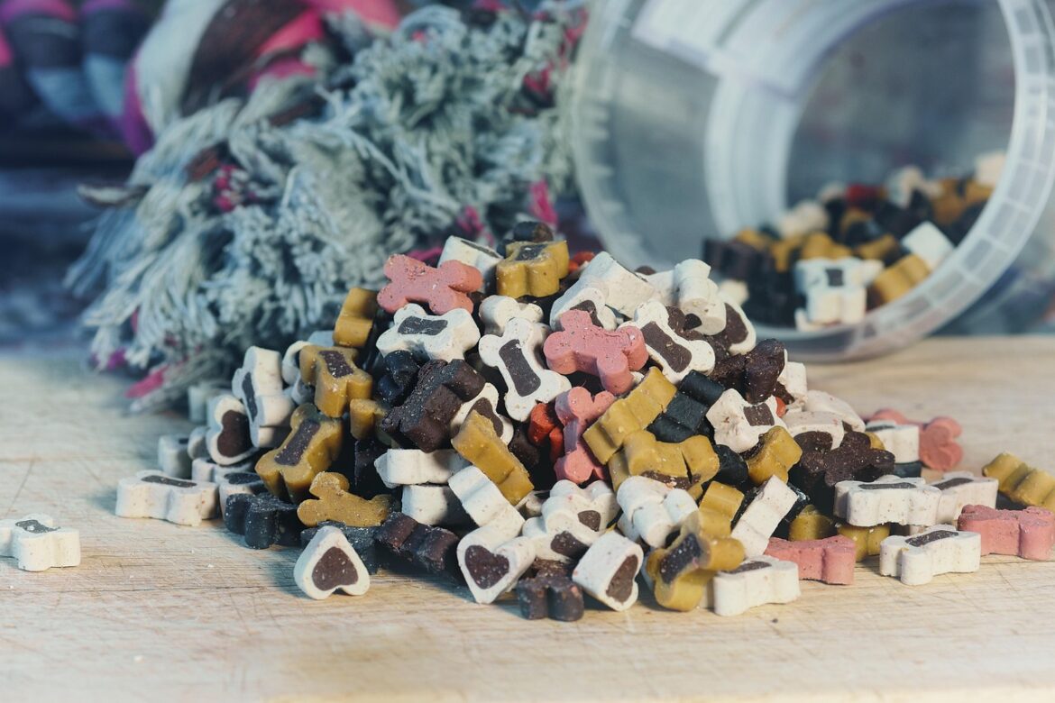 dog-food-4693738_1280